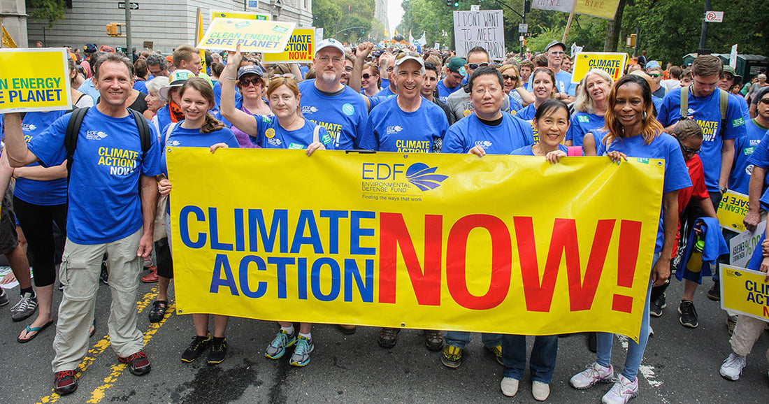 Why We’re Proudly Donating 10% of Our Gross Income to the Environmental Defense Fund