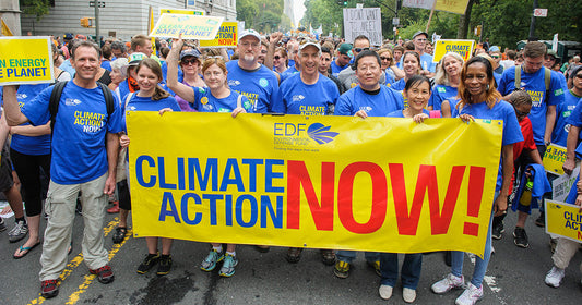 Why We’re Proudly Donating 10% of Our Gross Income to the Environmental Defense Fund